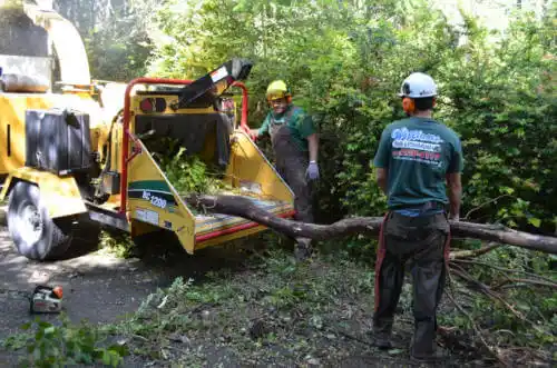 tree services Jamestown